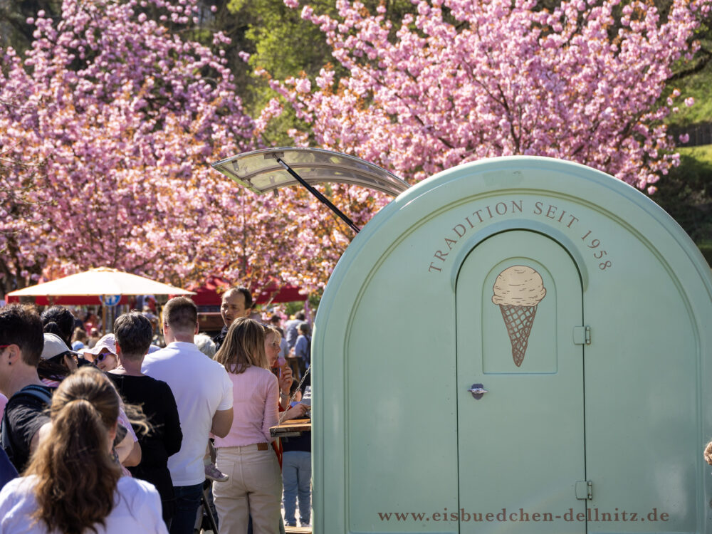 Mneschen unter einem Kirschblütenbaum und neben einer Foodtruck.