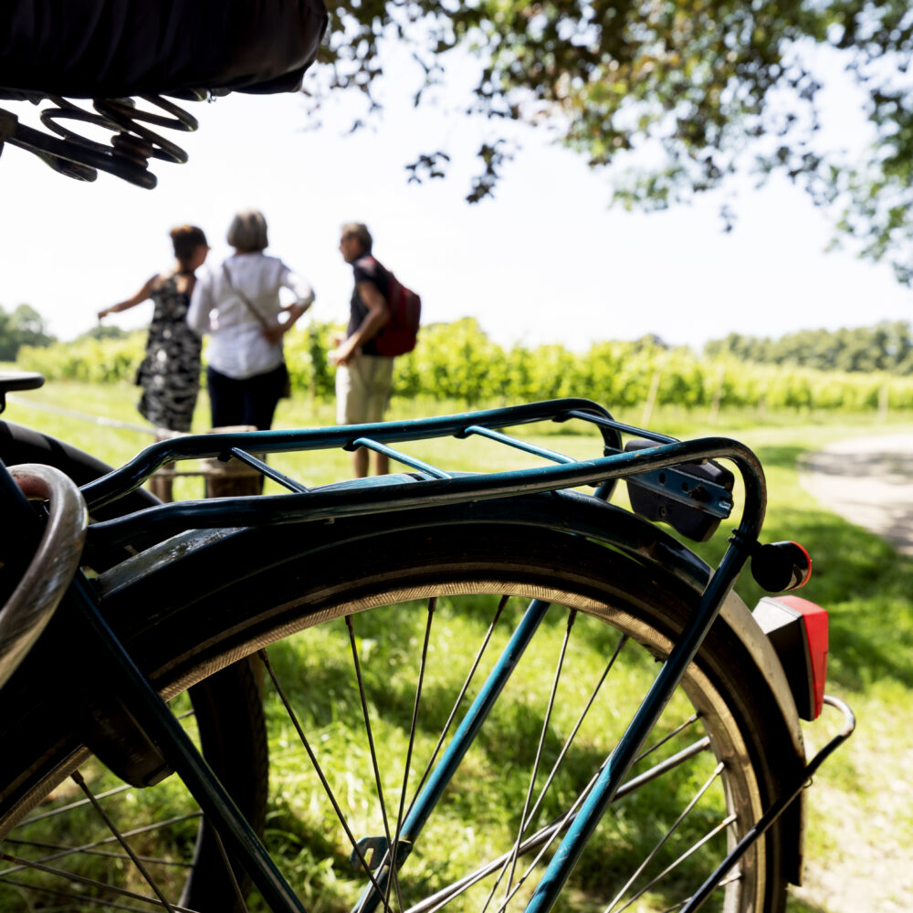 Radtour entlang der Via Romana. Fahrrad an der Wiese, Fahrradfahrer schauen sich um