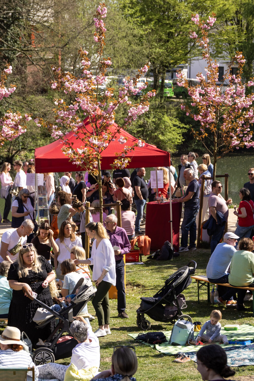 Menschen picknicken auf einer Wiese unter Kirschblütenbäumen