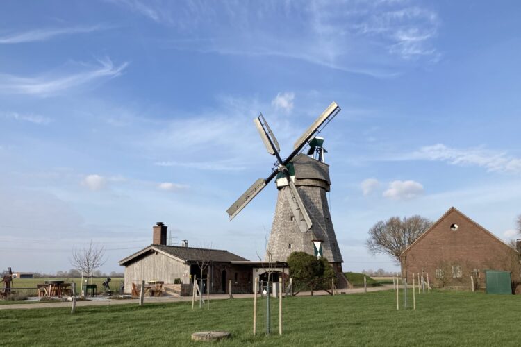 Eine alte Mühle mit grauem Mauerwerk und großen, weißen Flügeln steht in einer grünen Wiese. Neben der Mühle befindet sich ein Nebengebäude aus Holz.