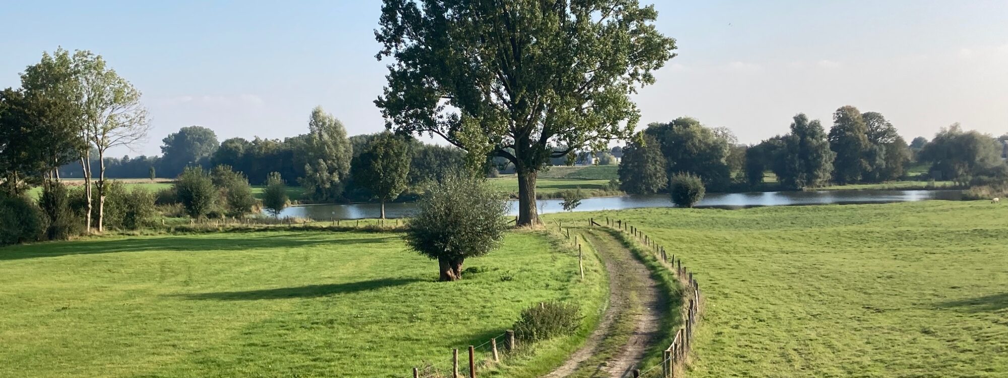 Wiese mit Weg zum Teich Breijpott mit Bäumen
