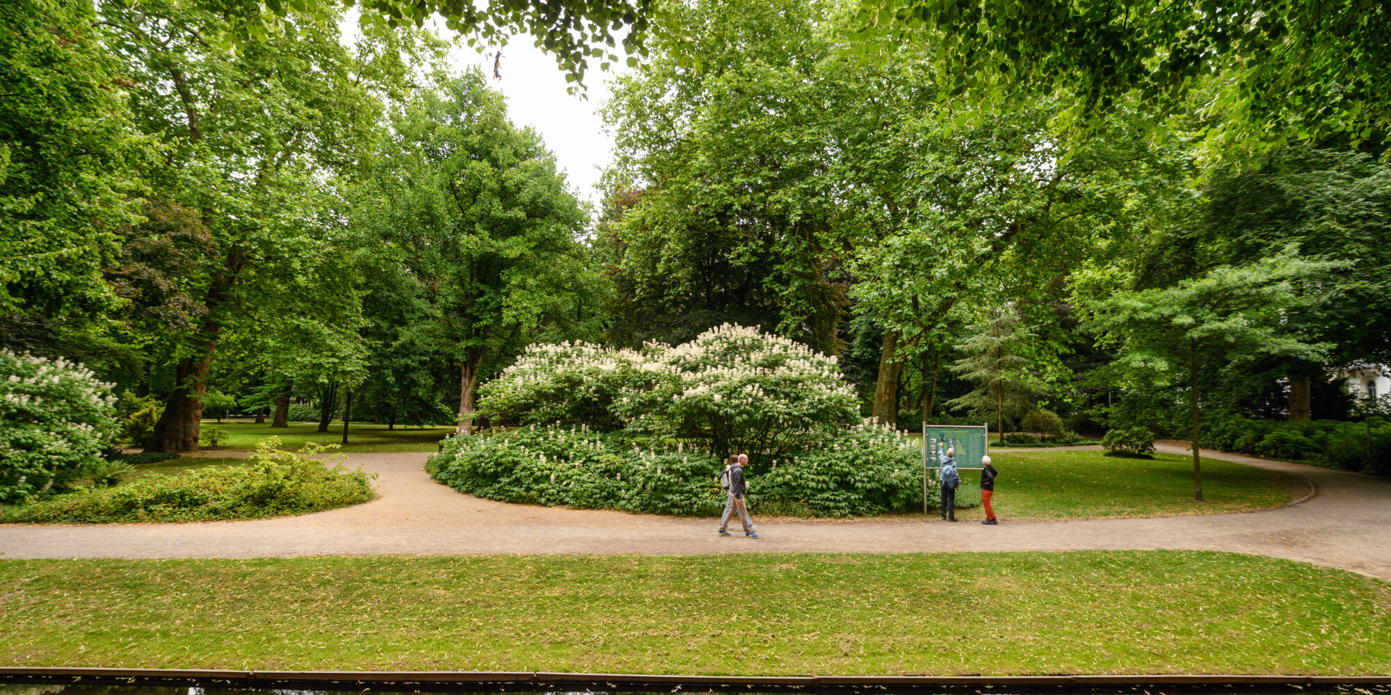 Forstgarten mit grünen Bäumen und Sträuchern, drei Personen auf einem Weg, Spiegelung im Wasser, sichtbare Textzeile: 'kleingedrucktes, nicht zur Verwendung gedacht'.
