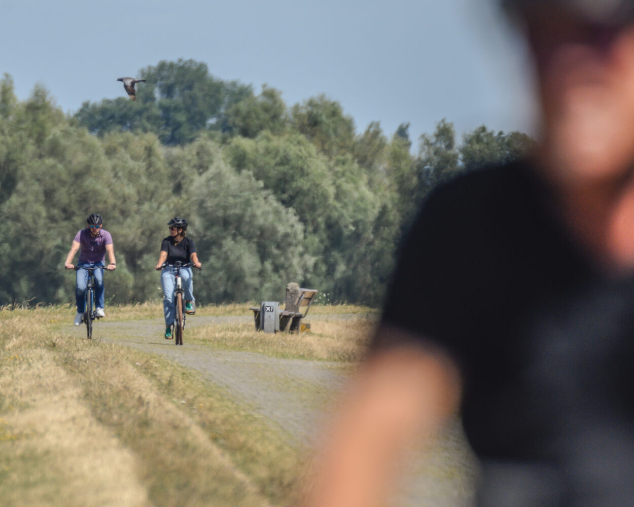 Zwei Radfahrer auf einem Weg, umgeben von Bäumen. Im Vordergrund ist ein unscharfer Mann in schwarzem Shirt zu sehen.