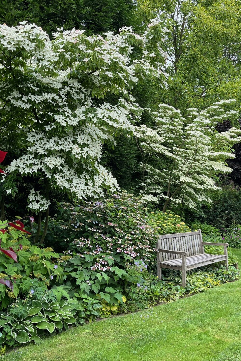 Garten mit grüner Wiese, Holzbänken und verschiedenen blühenden Sträuchern und Bäumen, darunter weiße Blüten und rote Blätter