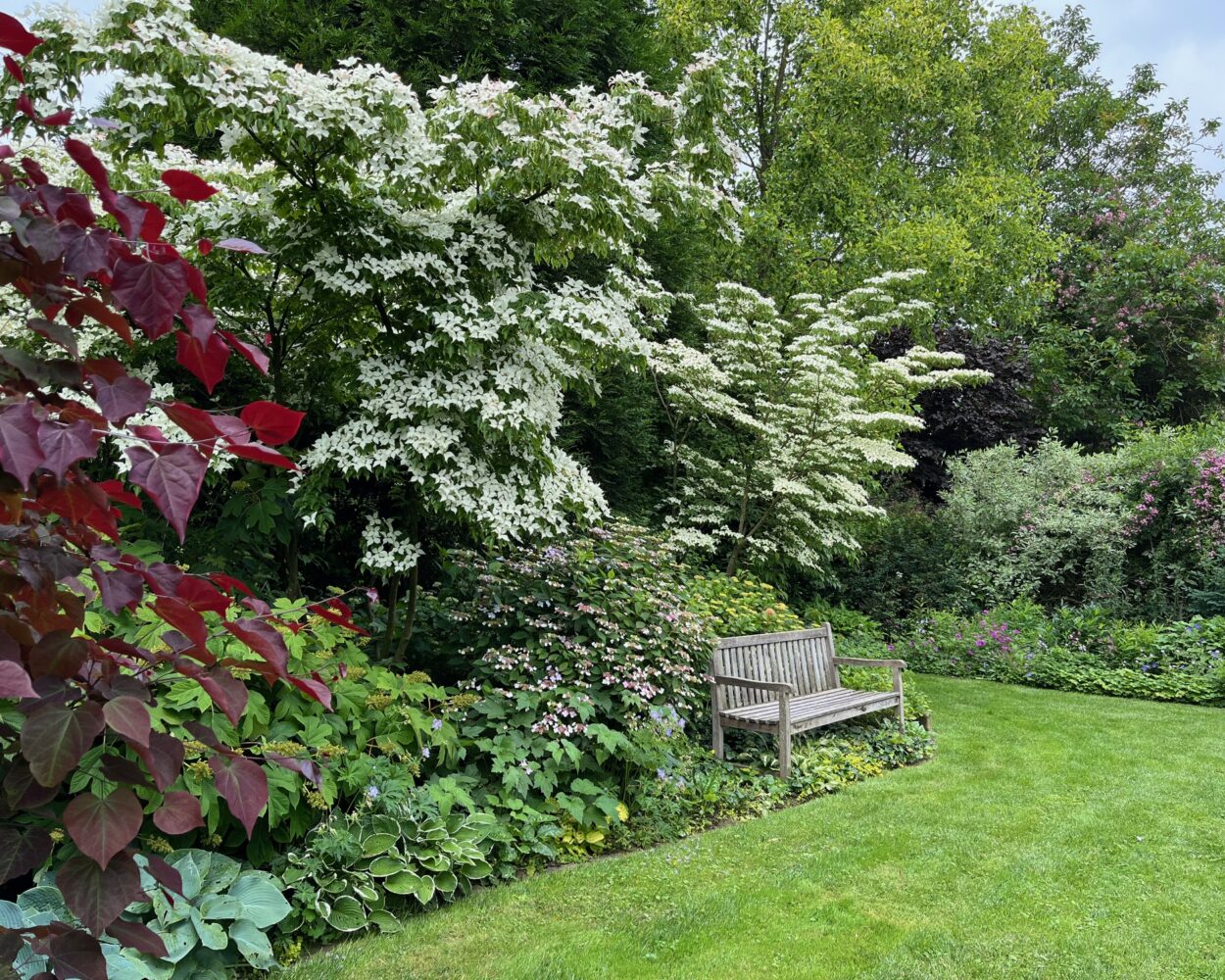 Garten mit grüner Wiese, Holzbänken und verschiedenen blühenden Sträuchern und Bäumen, darunter weiße Blüten und rote Blätter
