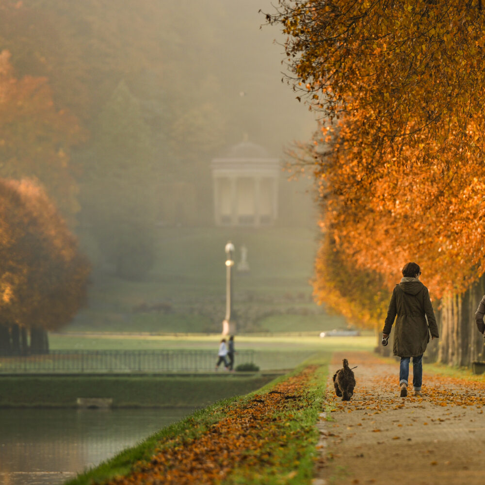 Zwei Menschen mit Hund spazieren am Gewässer entlang.