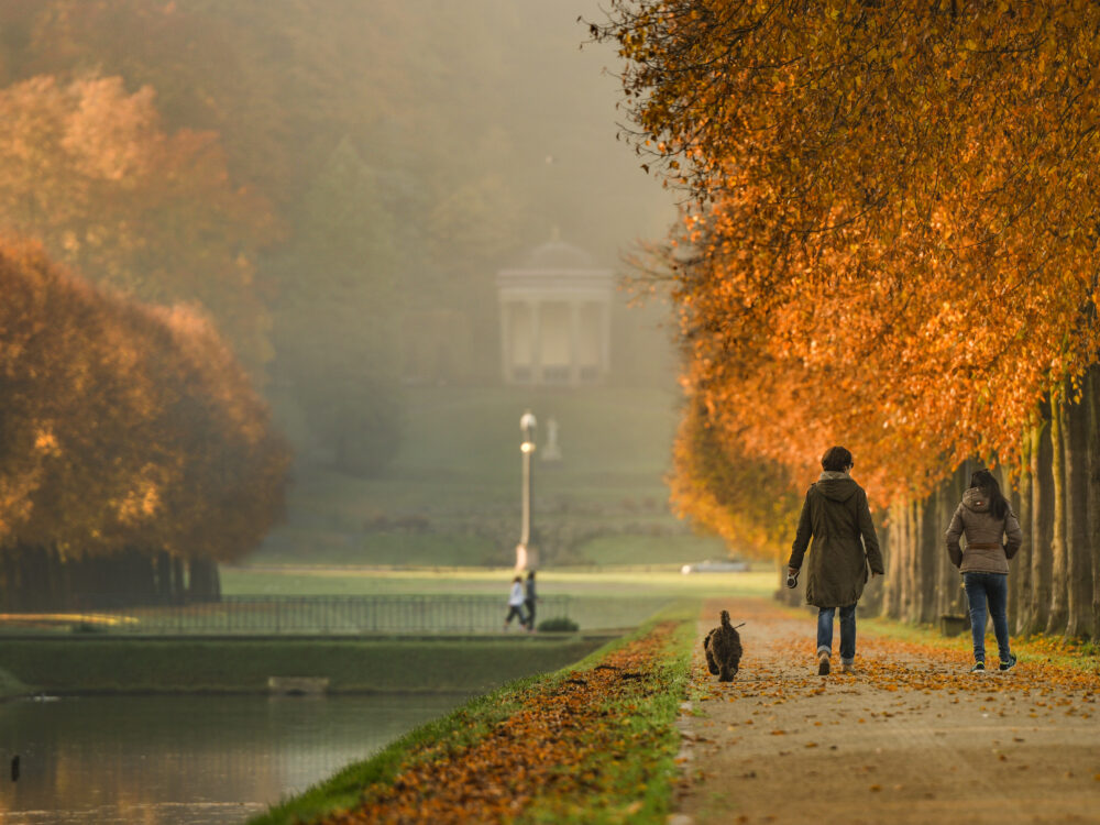 Zwei Menschen mit Hund spazieren am Gewässer entlang.