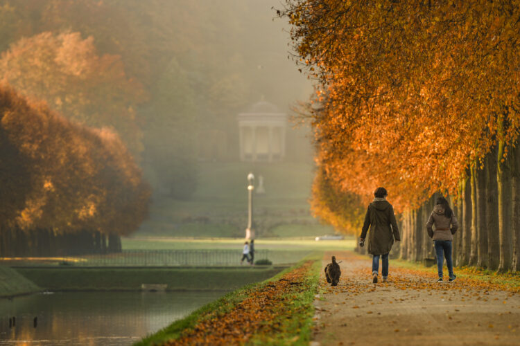 Zwei Menschen mit Hund spazieren am Gewässer entlang.