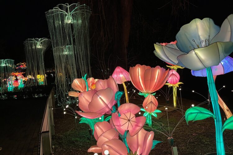 Bunte, leuchtende Blumen aus Kunststoff in verschiedenen Formen und Größen, darunter große rosa und weiße Blüten, vor einem dunklen Hintergrund. Im Hintergrund sind leuchtende Quallen und weitere Blumen sichtbar.