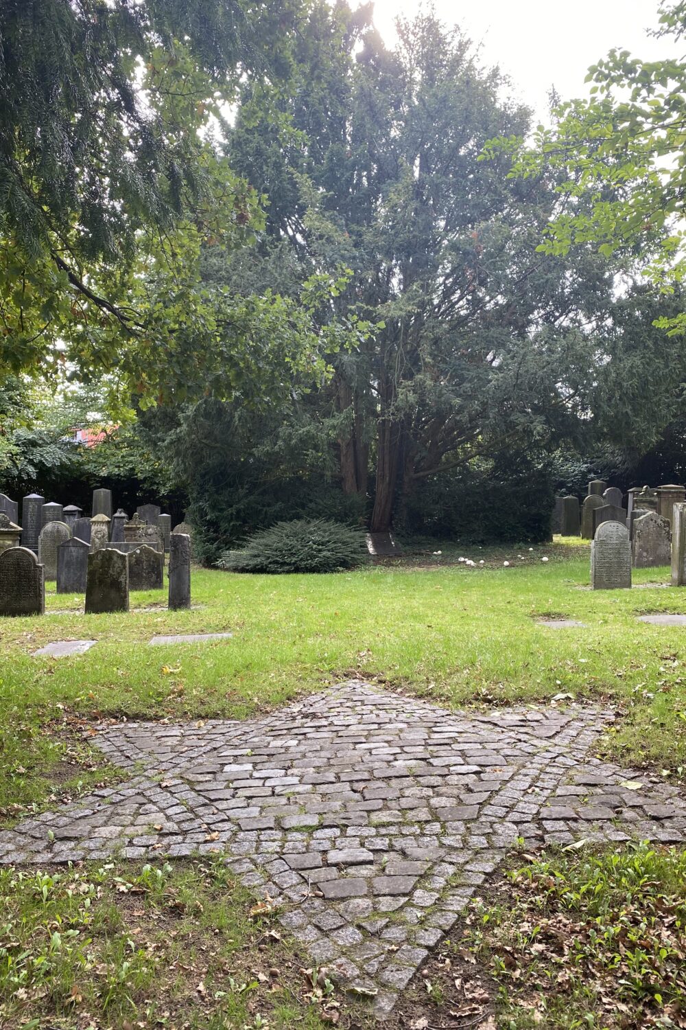 Ein jüdischer Friedhof mit mehreren Grabsteinen, die in verschiedenen Formen und Größen angeordnet sind. Im Vordergrund ein gepflasterter Stern aus Steinen, umgeben von Gras und Bäumen.