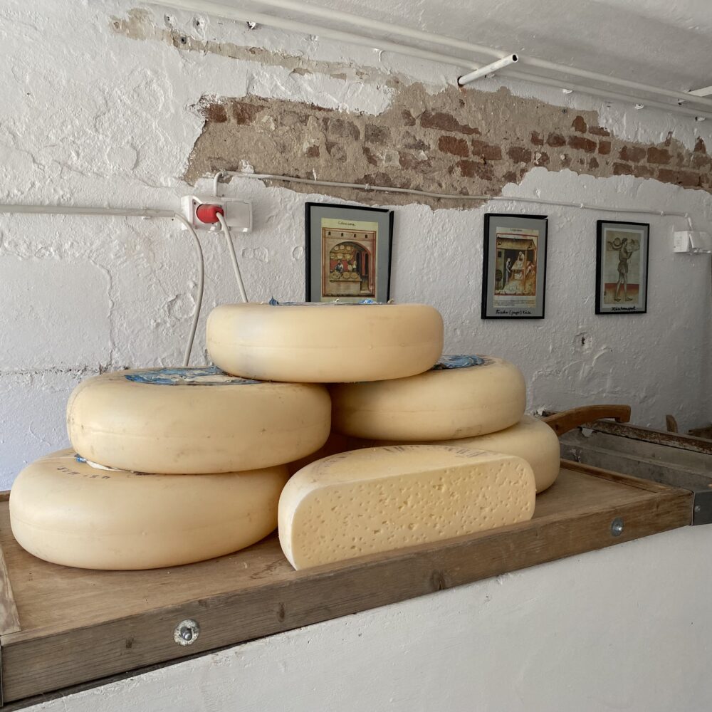 Sechs große runde Käselaibe, davon einer halbiert, liegen auf einem hölzernen Wagen vor einer weißen Wand mit drei gerahmten Bildern im Käsemuseum auf Gut Hogefeld.