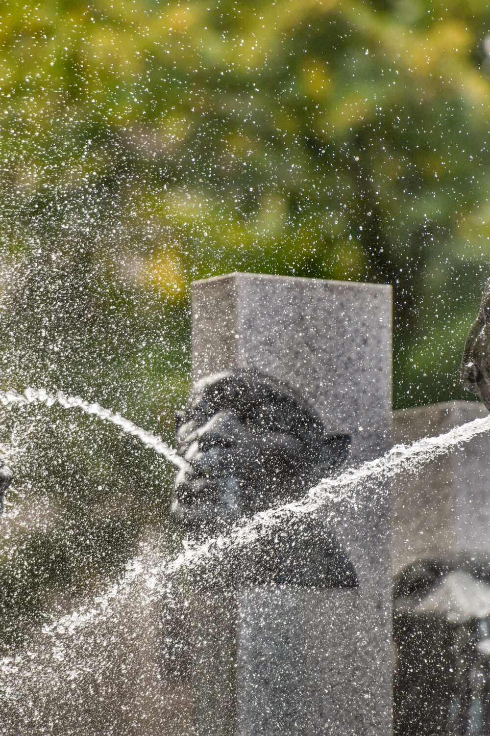 Wasserspeiende Köpfe an Steinsäulen sind die Markenzeichen des Narrenbrunnens
