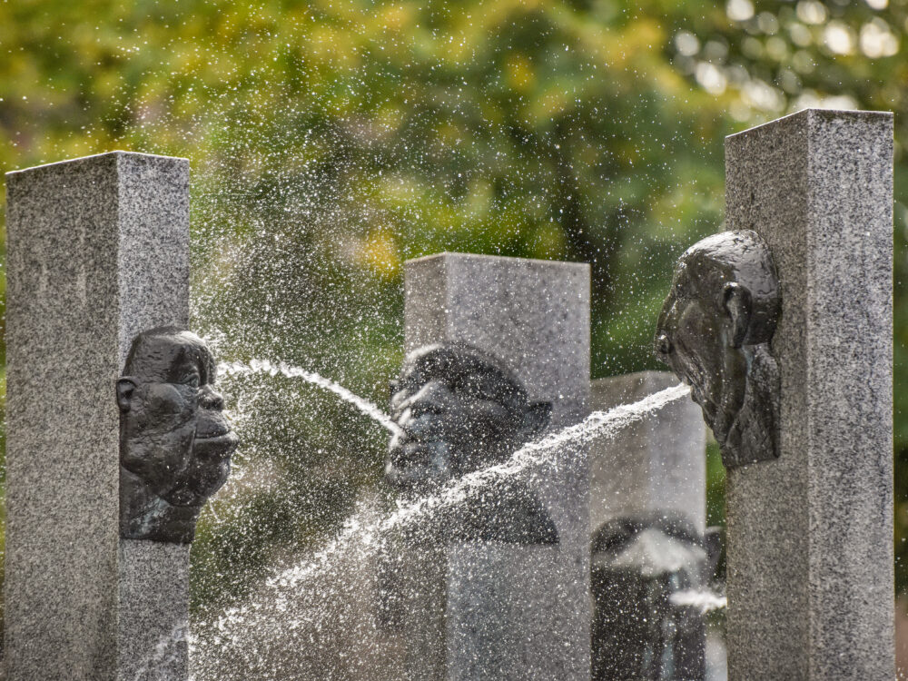 Wasserspeiende Köpfe an Steinsäulen sind die Markenzeichen des Narrenbrunnens