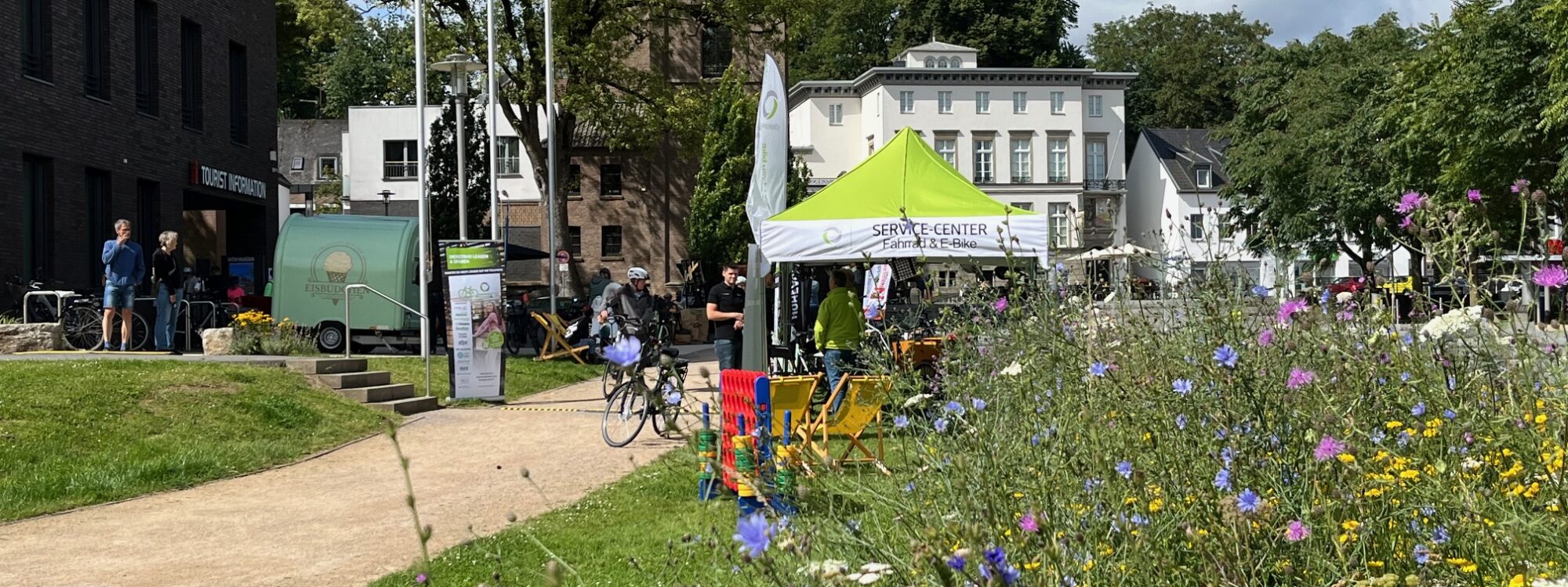 Blühende Wiese mit Fahrradfahrern im Hintegrund