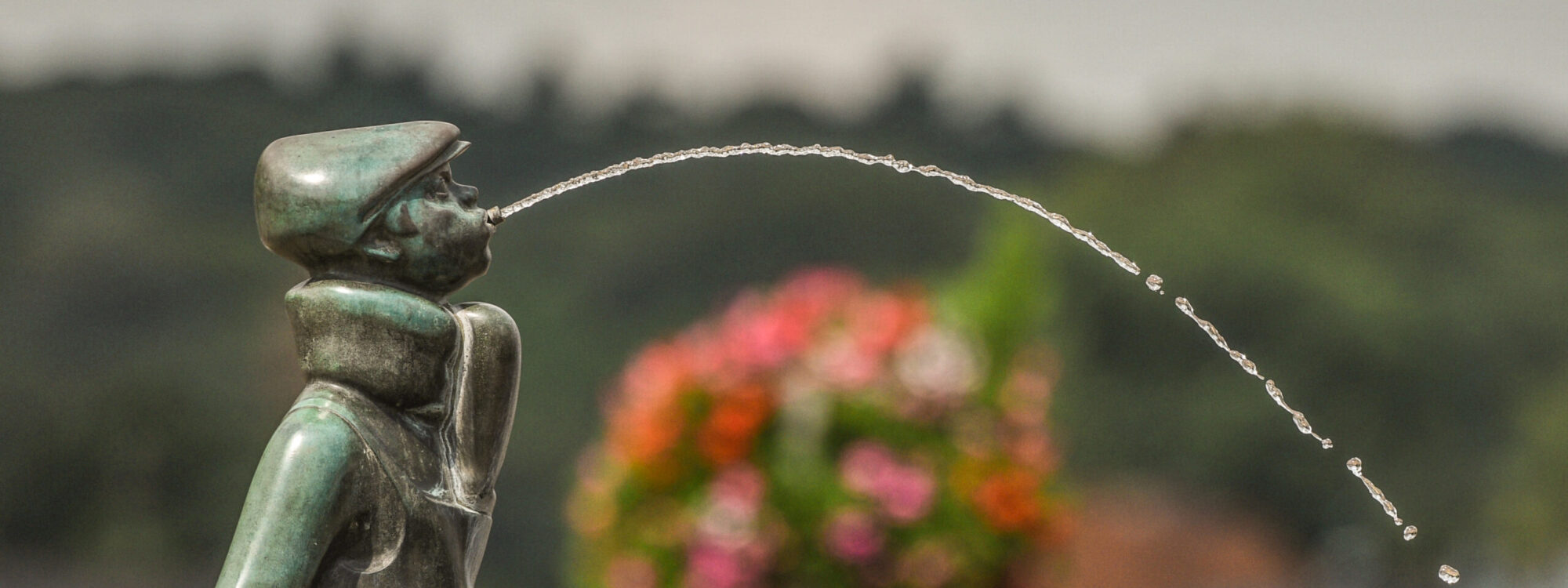 Schüsterken - Bronze-Skulptur eines Jungen mit einer Mütze, der Wasser aus dem Mund spritzt. Im Hintergrund blühende Pflanzen und unscharfe Landschaft.
