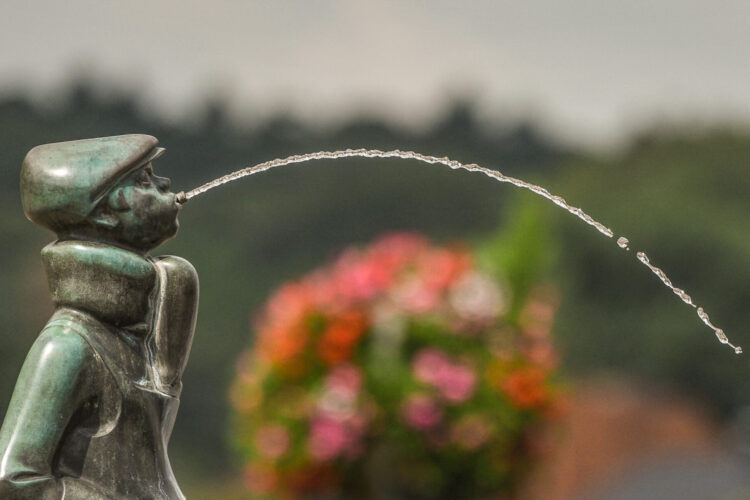 Schüsterken - Bronze-Skulptur eines Jungen mit einer Mütze, der Wasser aus dem Mund spritzt. Im Hintergrund blühende Pflanzen und unscharfe Landschaft.
