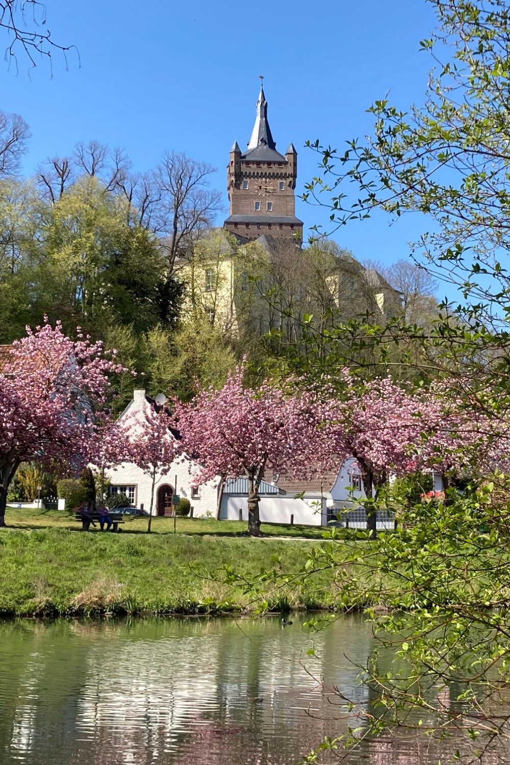 Die Schwanenburg thront über einer Landschaft mit blühenden Kirschbäumen. Im Vordergrund spiegelt sich das Wasser eines ruhigen Gewässers.