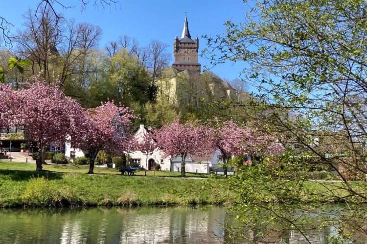 Die Schwanenburg thront über einer Landschaft mit blühenden Kirschbäumen. Im Vordergrund spiegelt sich das Wasser eines ruhigen Gewässers.