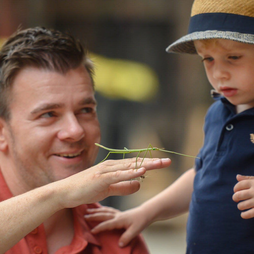 Ein Erwachsener mit rotem Hemd hält eine grüne Heuschrecke auf seiner Hand. Ein Kind in einem blauen Poloshirt mit einem Hut steht daneben und schaut auf die Heuschrecke.