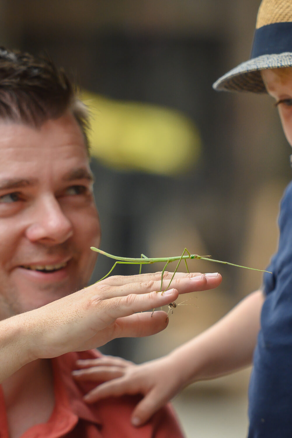 Ein Erwachsener mit rotem Hemd hält eine grüne Heuschrecke auf seiner Hand. Ein Kind in einem blauen Poloshirt mit einem Hut steht daneben und schaut auf die Heuschrecke.