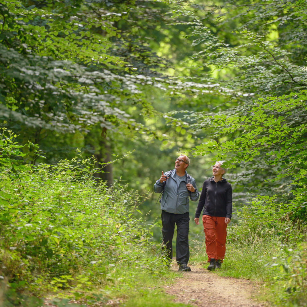 Zwei Personen wandern auf einem Waldweg im Reichswald, umgeben von Bäumen und Sträuchern. Eine Person trägt eine graue Jacke und die andere eine orange Hose.
