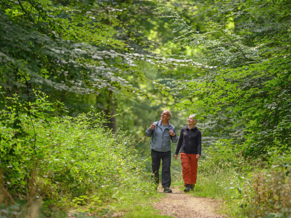 Zwei Personen wandern auf einem Waldweg im Reichswald, umgeben von Bäumen und Sträuchern. Eine Person trägt eine graue Jacke und die andere eine orange Hose.