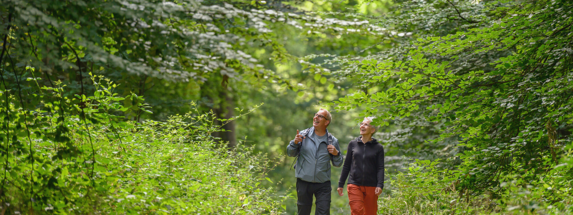 Zwei Personen wandern auf einem Waldweg im Reichswald, umgeben von Bäumen und Sträuchern. Eine Person trägt eine graue Jacke und die andere eine orange Hose.