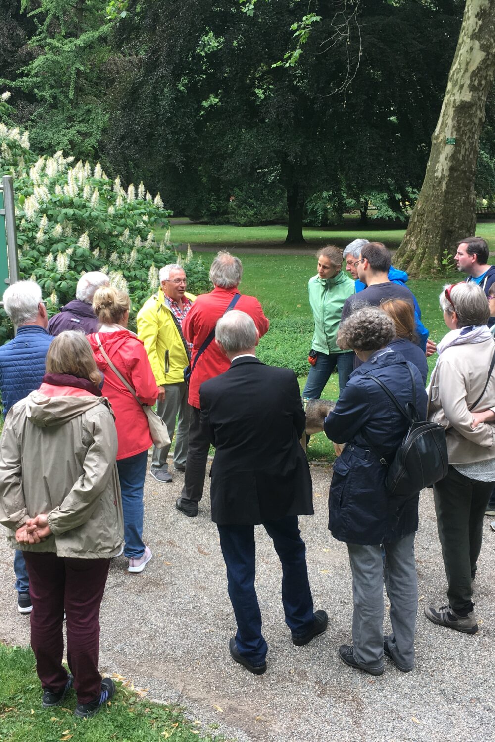 Gruppe von Menschen steht auf einem Weg im Forstgarten vor einer großen Informationstafel mit Text und Bildern, umgeben von Bäumen und Sträuchern.