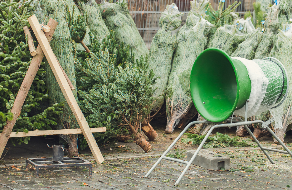 Mehrere eingepackte Tannenbäume stehen auf einem Pflaster, rechts ein grünes Weihnachtsbaumverpackungsgerät, links ein Holzständer mit Metallhalterung.