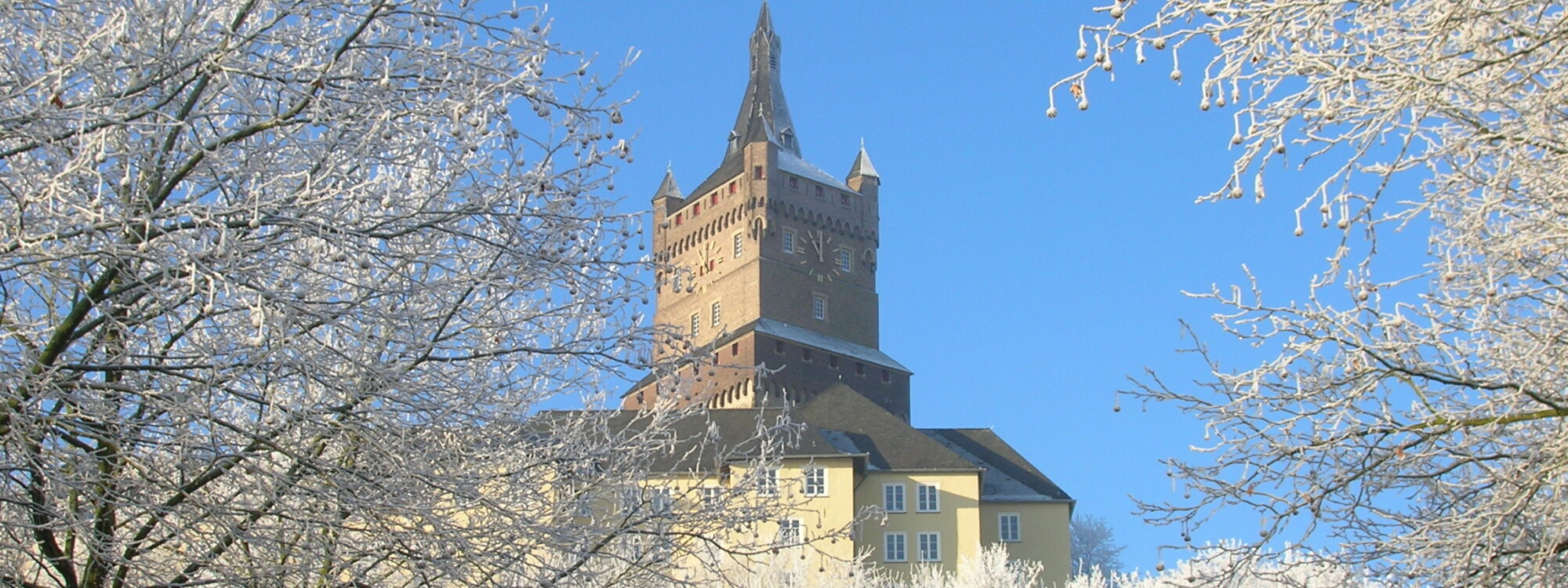 Burg gerahmt von schneebedecktej Bäumen